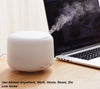 2020 MODEL Purifying DIFFUSER - Live Well Be Well Singapore
